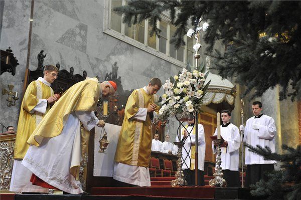 erdő