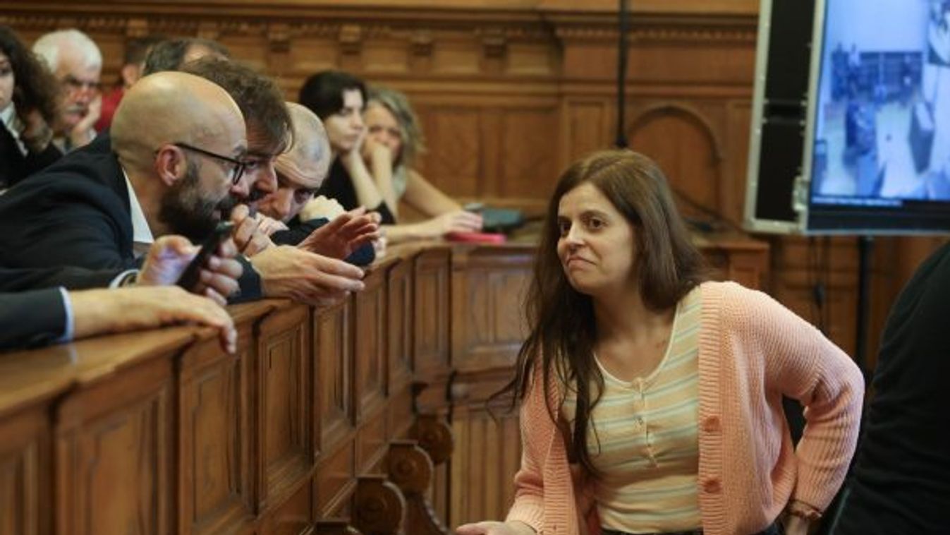 Október 7-én dönt a magyarverő antifa mentelmi jogáról az Európai Parlament - Salis retteg a "magyarok bosszújától"
