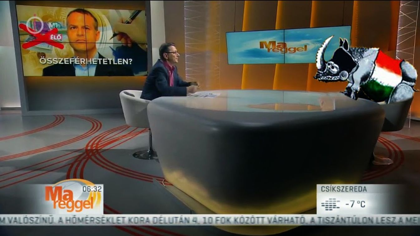 Zsák meg az ő foltja