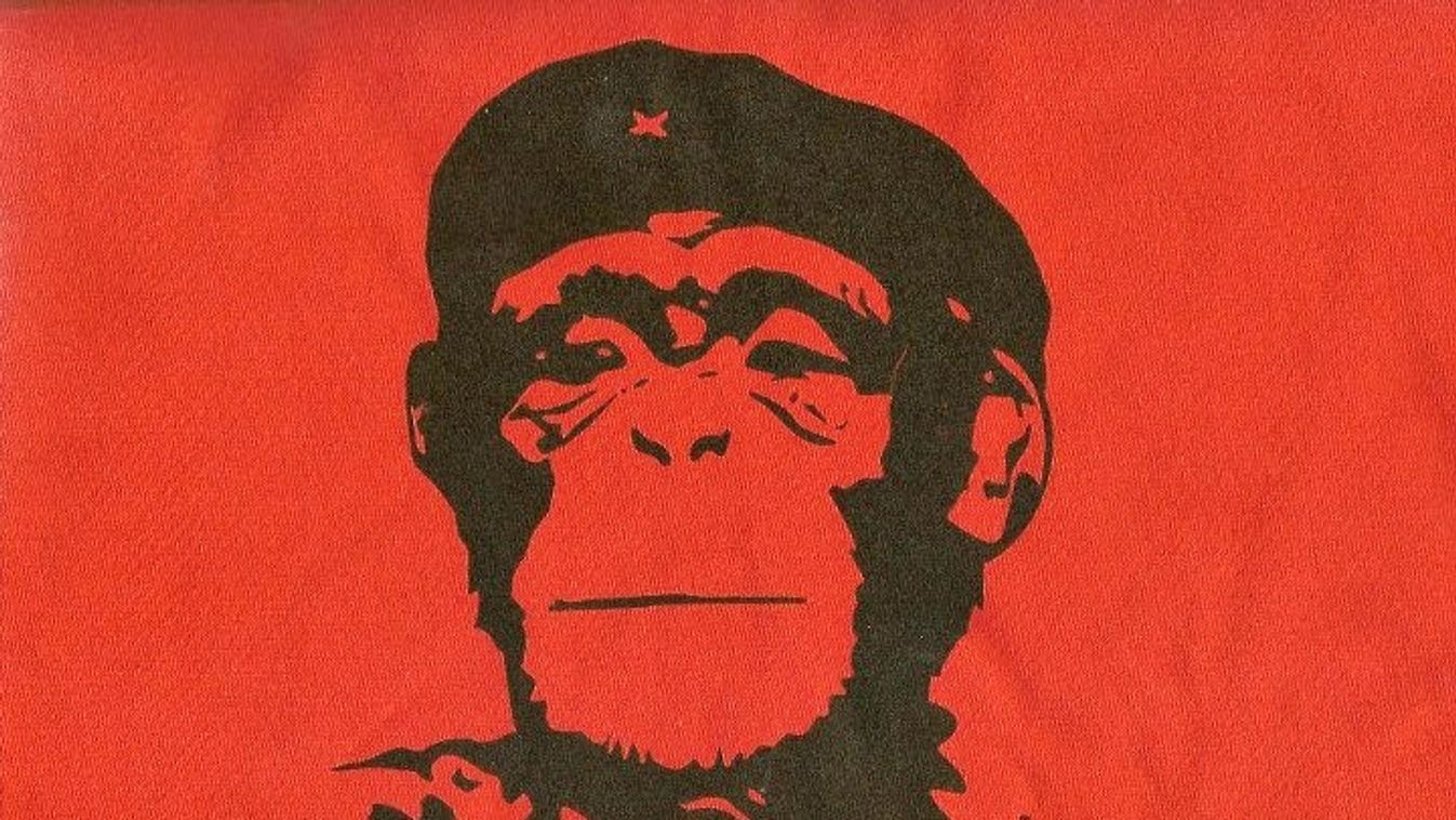 Majomkommunizmus és hülye liberálisok