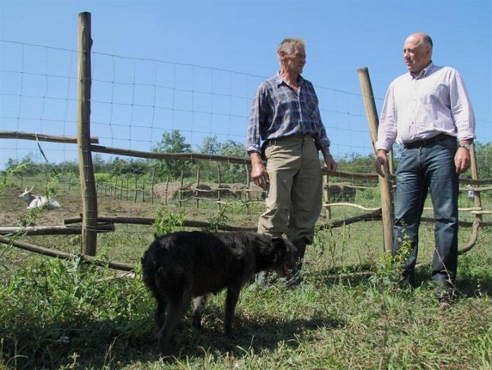 A Palota Borház Kft. békés úton kívánja kárigényét érvényesíteni, de nem kizárt, hogy eljárás indul az ügyben. Fotó: miskolc.hu