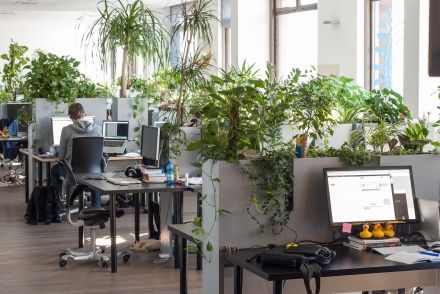 A Prezi budapesti irodája Fotó: generaciopszichologia.postr.hu