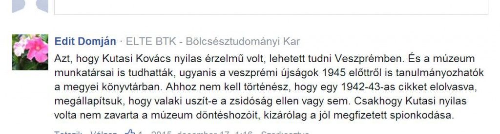 Elgondolkodtató hozzászólás /Forrás: Veszpremkukac.hu