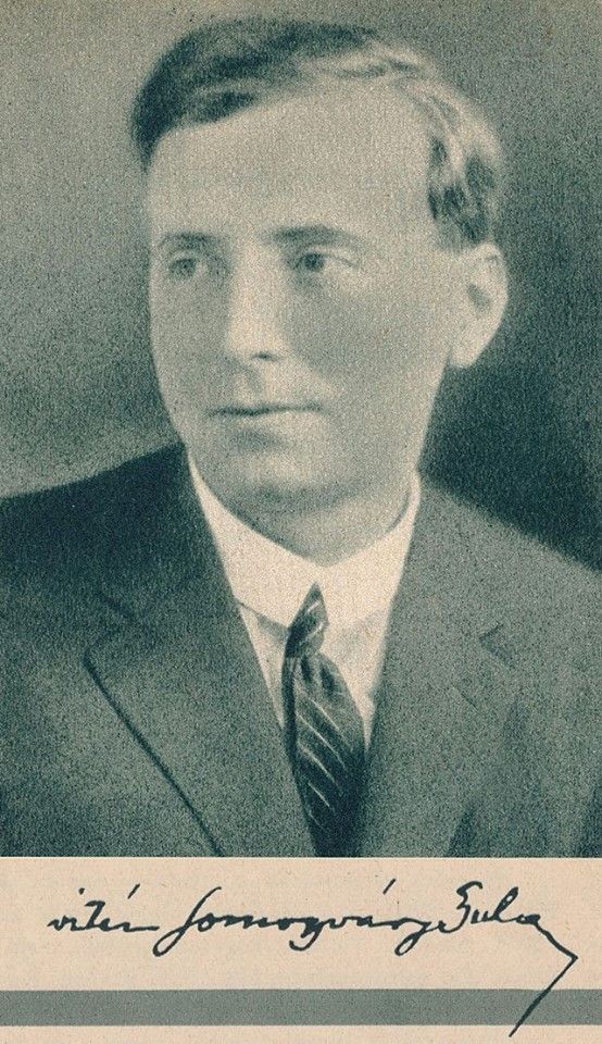 Somogyváry Gyula / Forrás: Vitéz Somogyváry Gyula/ Facebook.com