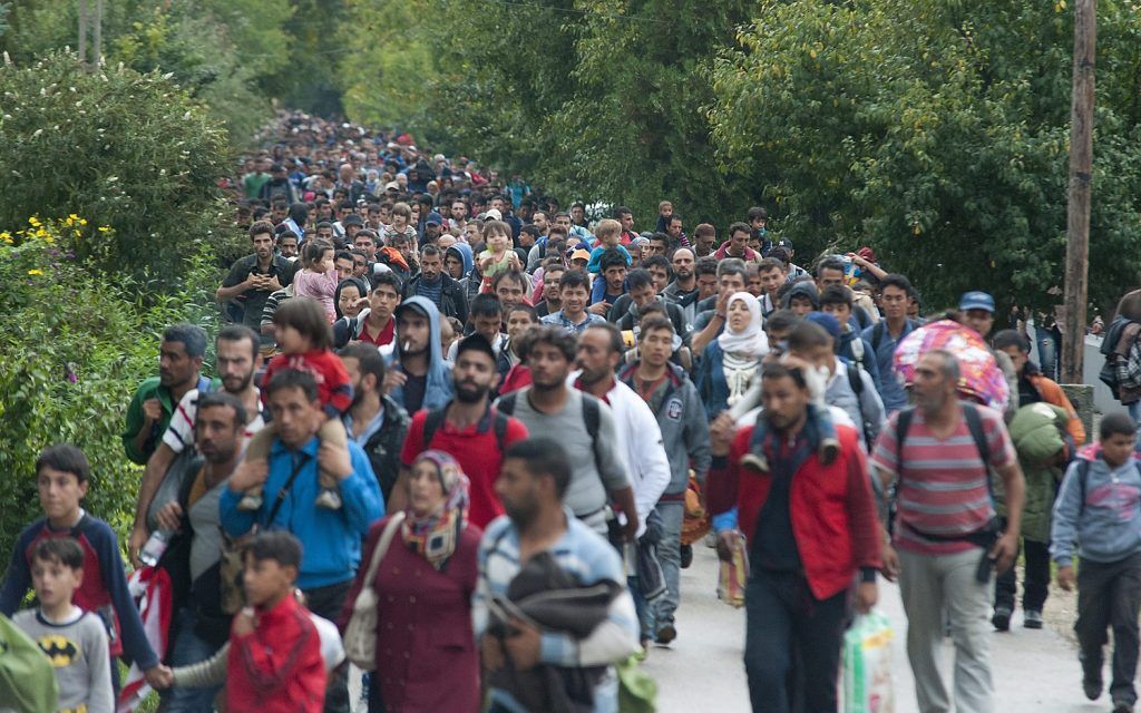 Gazdasági bevándorlók és menekültek (kép: MTI / Krizsán Csaba)