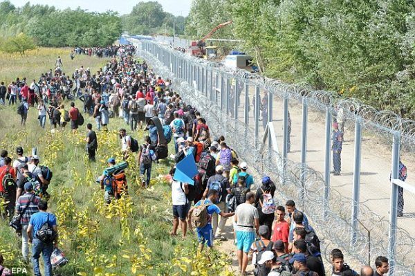 migrantwar
