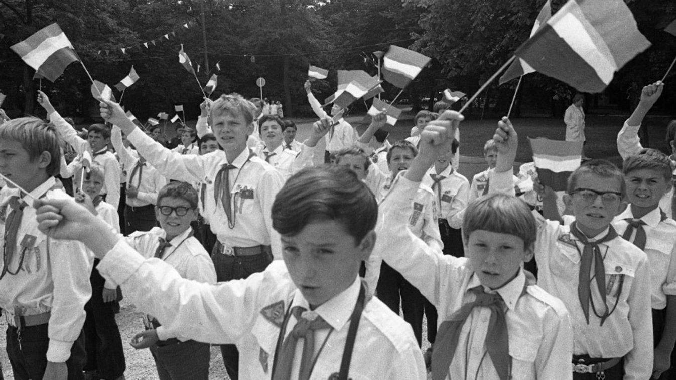 A kedves, kozmopolita magyar- és orbángyűlölő, ahol tud, segít!