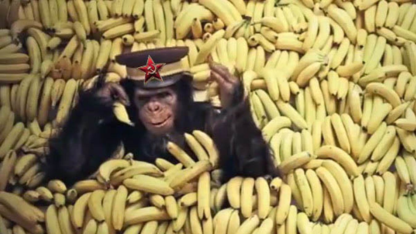 Sorosbá hazai gerillái kiváló ifjúkommunisták lennének