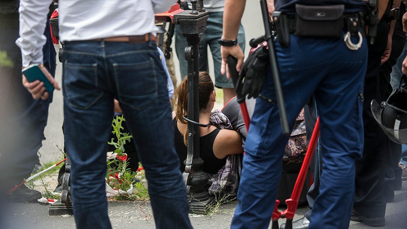Szájba rúgta a ligetvédő aktivista a rendőrt - egy év börtönt kapott érte
