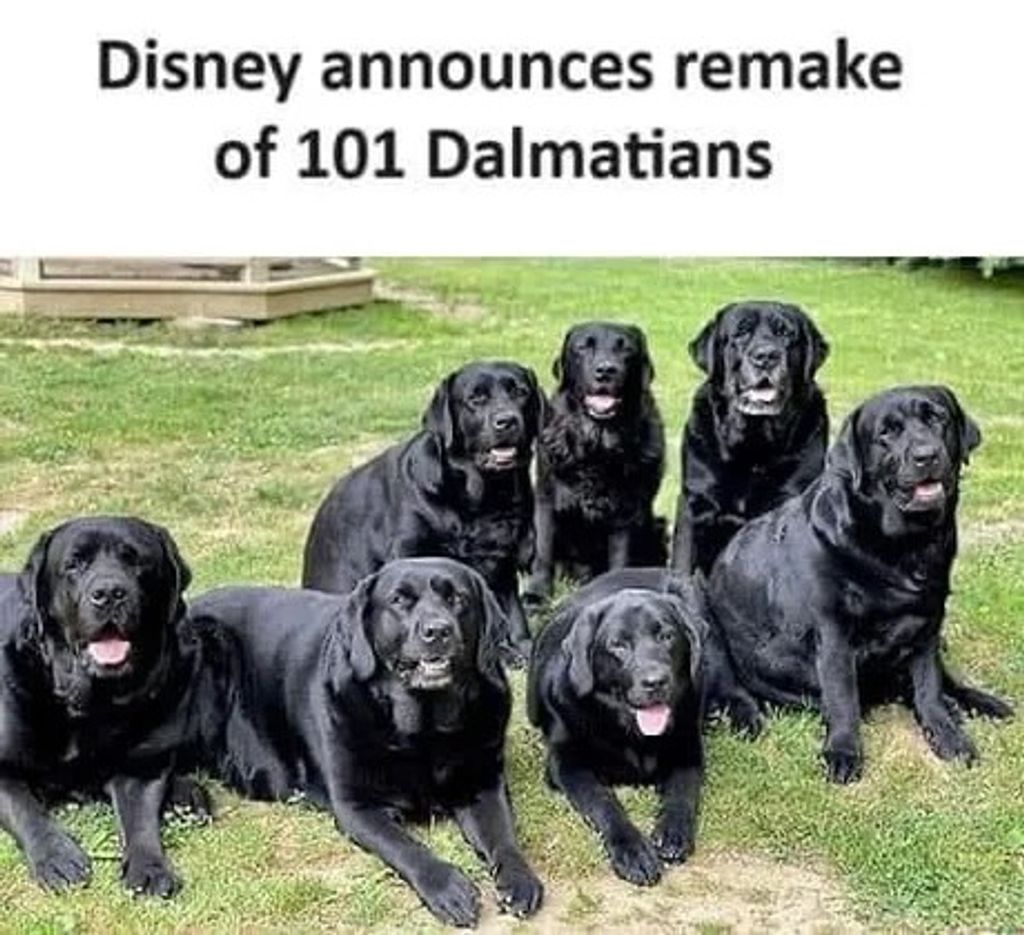 Netflix 7