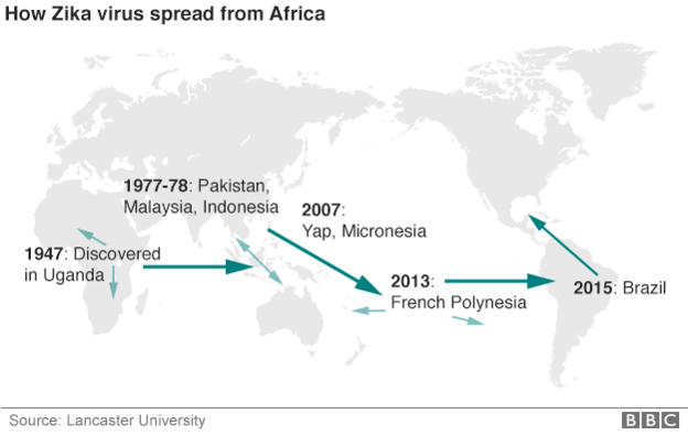 _87952953_zika_virus_spread_624-1