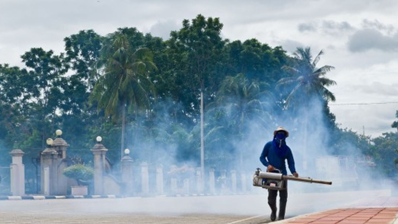 Több százan betegedtek meg a turistaparadicsomban, már halálos áldozata is van a dengue-láznak