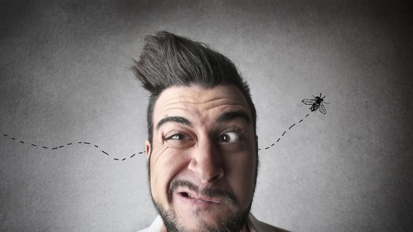 Kik is a liberálisok?