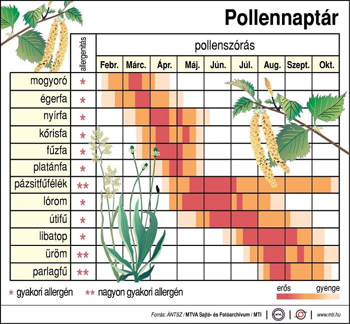 pollennaptar-mti