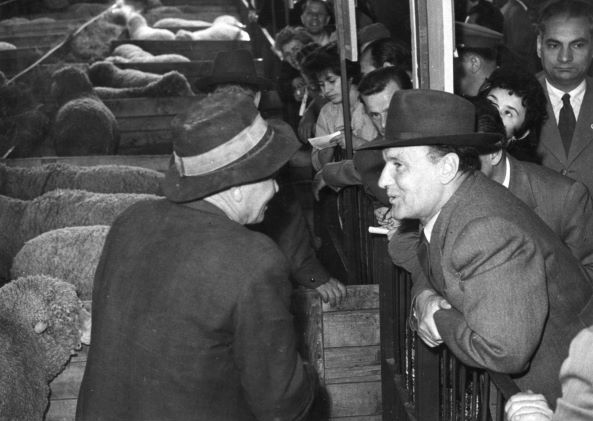 Albertirsai úti vásárterület, birkaistálló a Mezőgazdasági kiállításon, előtérben Kádár János. Fortepan