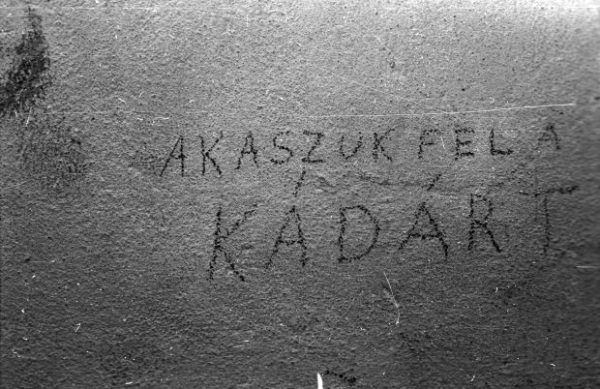 Falfirka. Fortepan / Budapest Főváros Levéltára. Levéltári jelzet: HU.BFL.XV.19.c.10