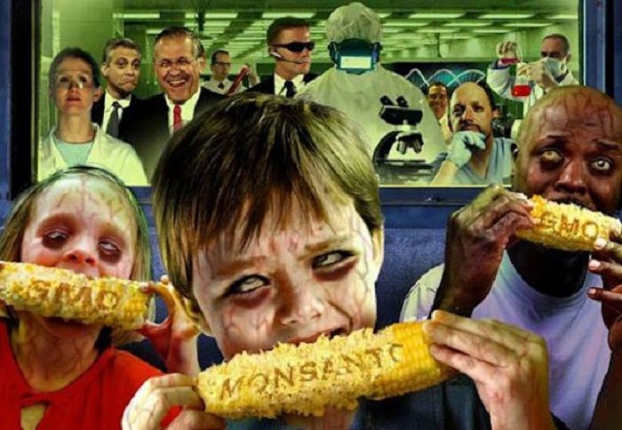 gmo