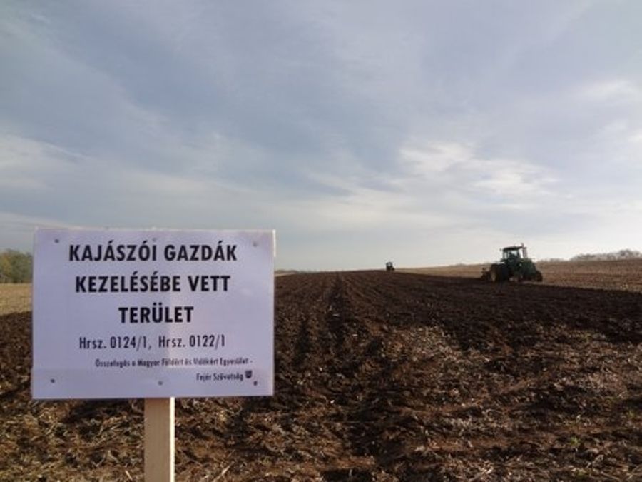 Az ángyáni vádpontokban legtöbbször szereplő, hoppon maradt kajászói gazdák nem teketóriáztak, hanem elvették amit gondoltak