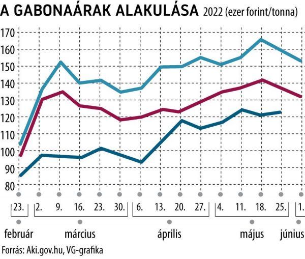 Forrás: VG