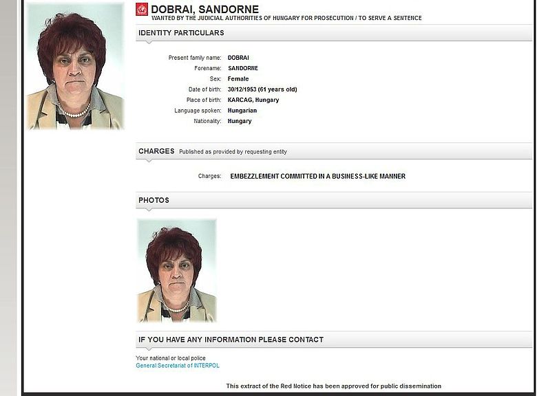 Az Interpol is körözi