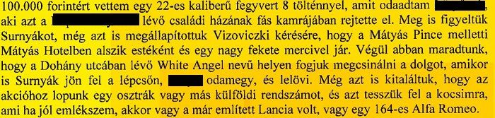 vizo-surnyak