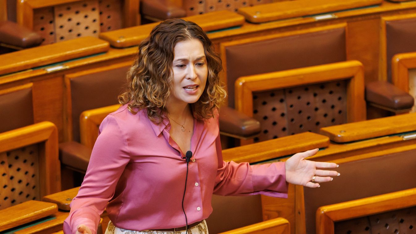 Cseh Katalin észosztása a demokratáknak: így kell leváltani Trumpot