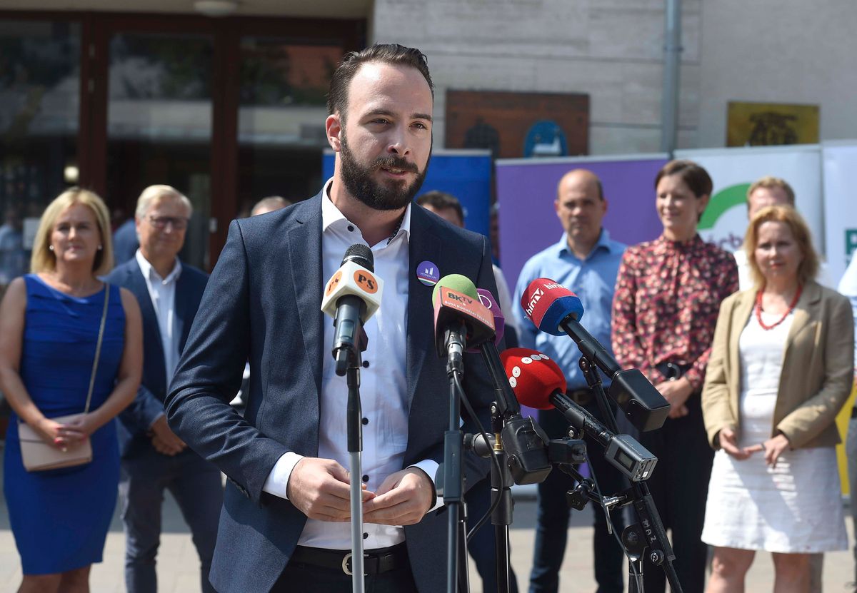 Lemond alpolgármesteri címéről Berg Dániel