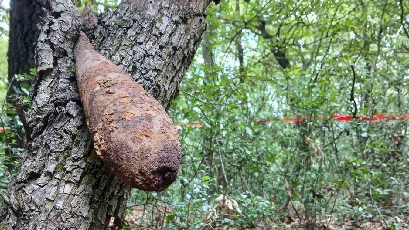 Egy fába ékelődött II. világháborús aknagránát borzolja a kedélyeket a Mátrában