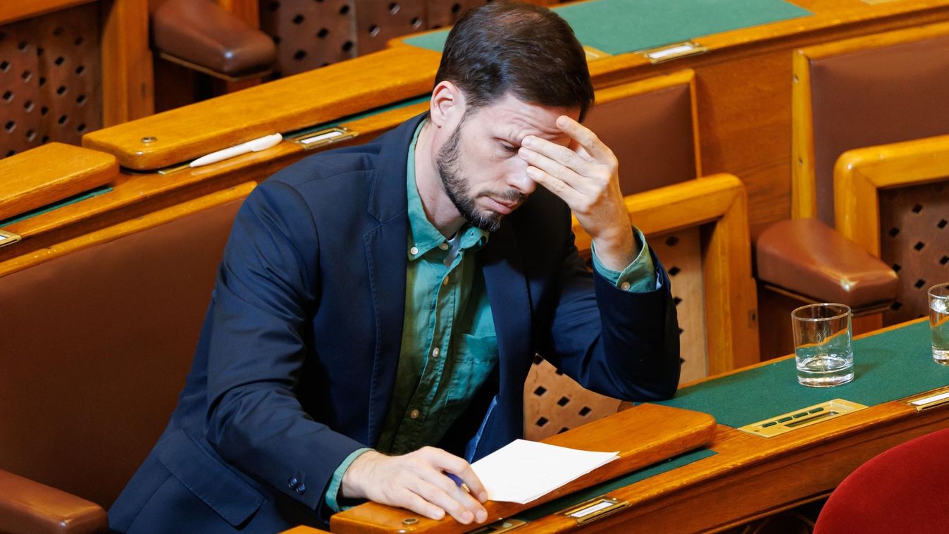 Nem, nem indított eljárást Greta Thunberg ellen a magyar rendőrség, hiába állítja Tordai Bence