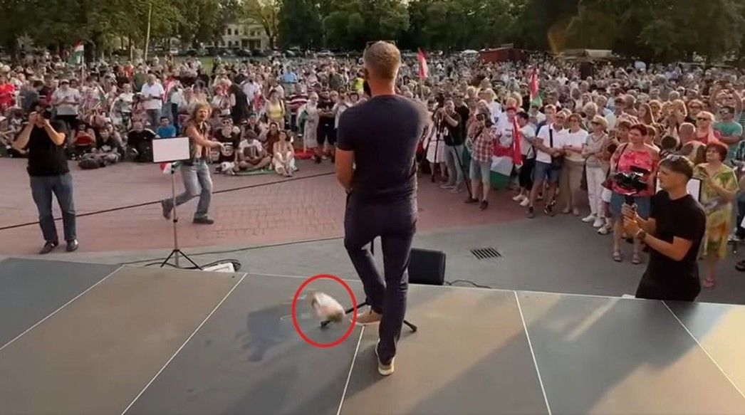 Megszólalt Magyar Péter "szotyis merénylője" 