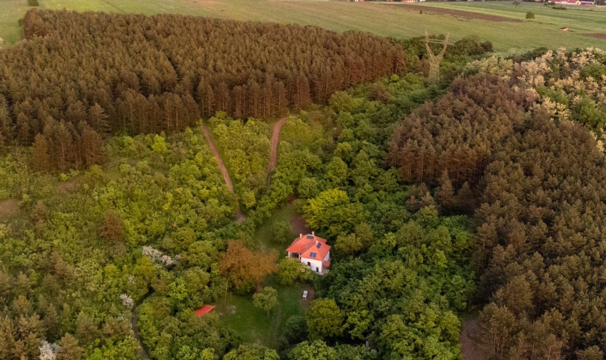 A Bozótfesztivál helyszíne