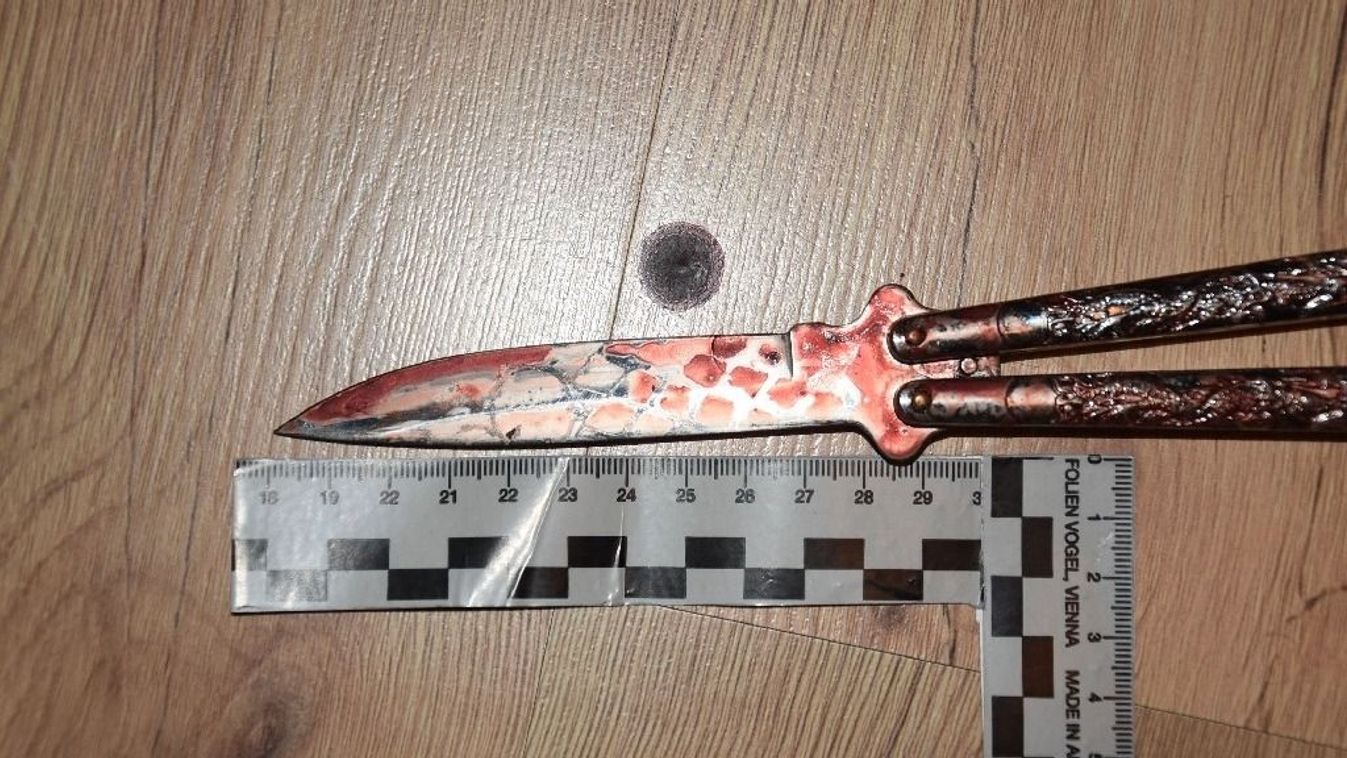 Mészárszéket rendezett családjában a nyolcadikos fiú, majd felhívta a rendőrséget