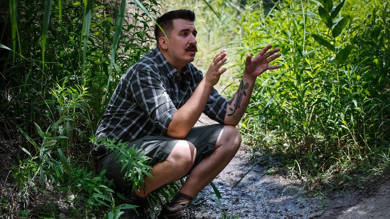 Vaddisznó formájában találkozott az elmélet és a valóság Hegyvidéken