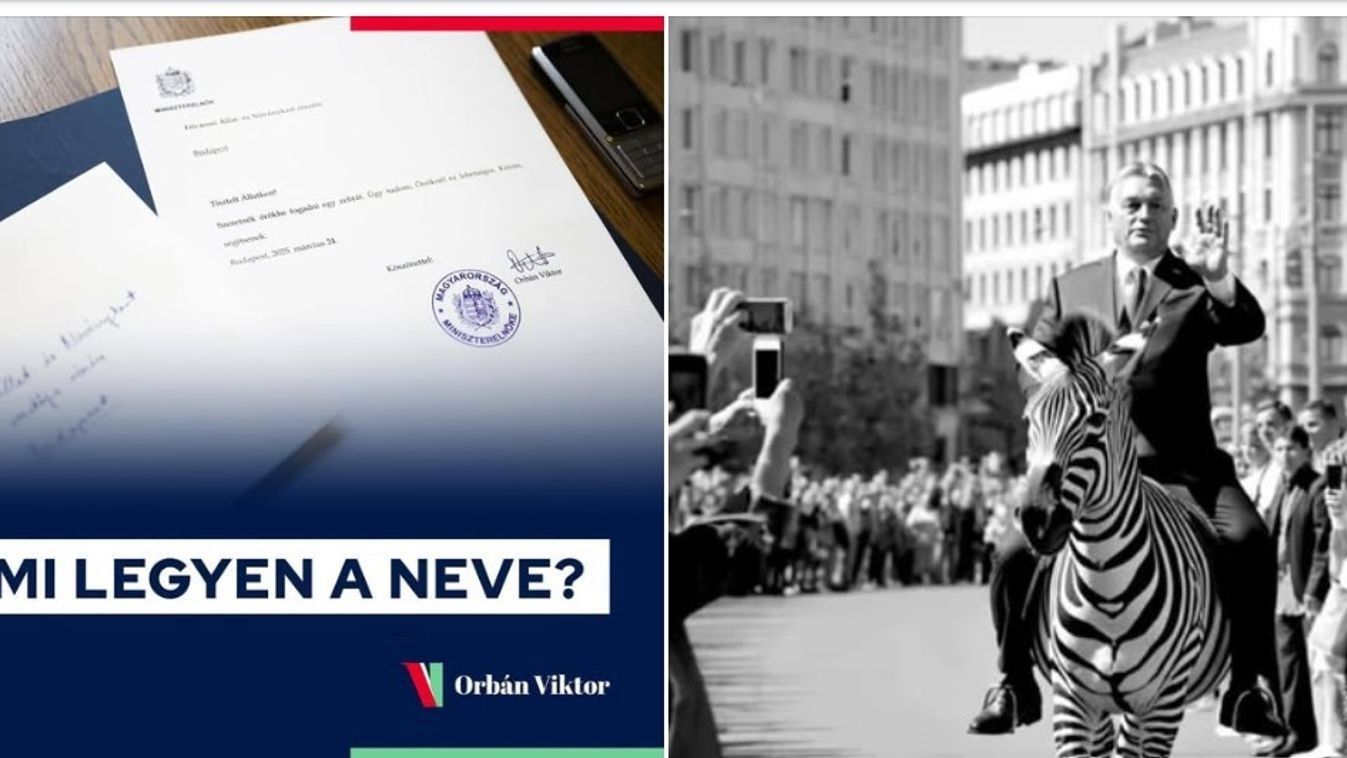 Zebra hátán, hátrafelé nyilazva – Így üt vissza egy balos hazugság
