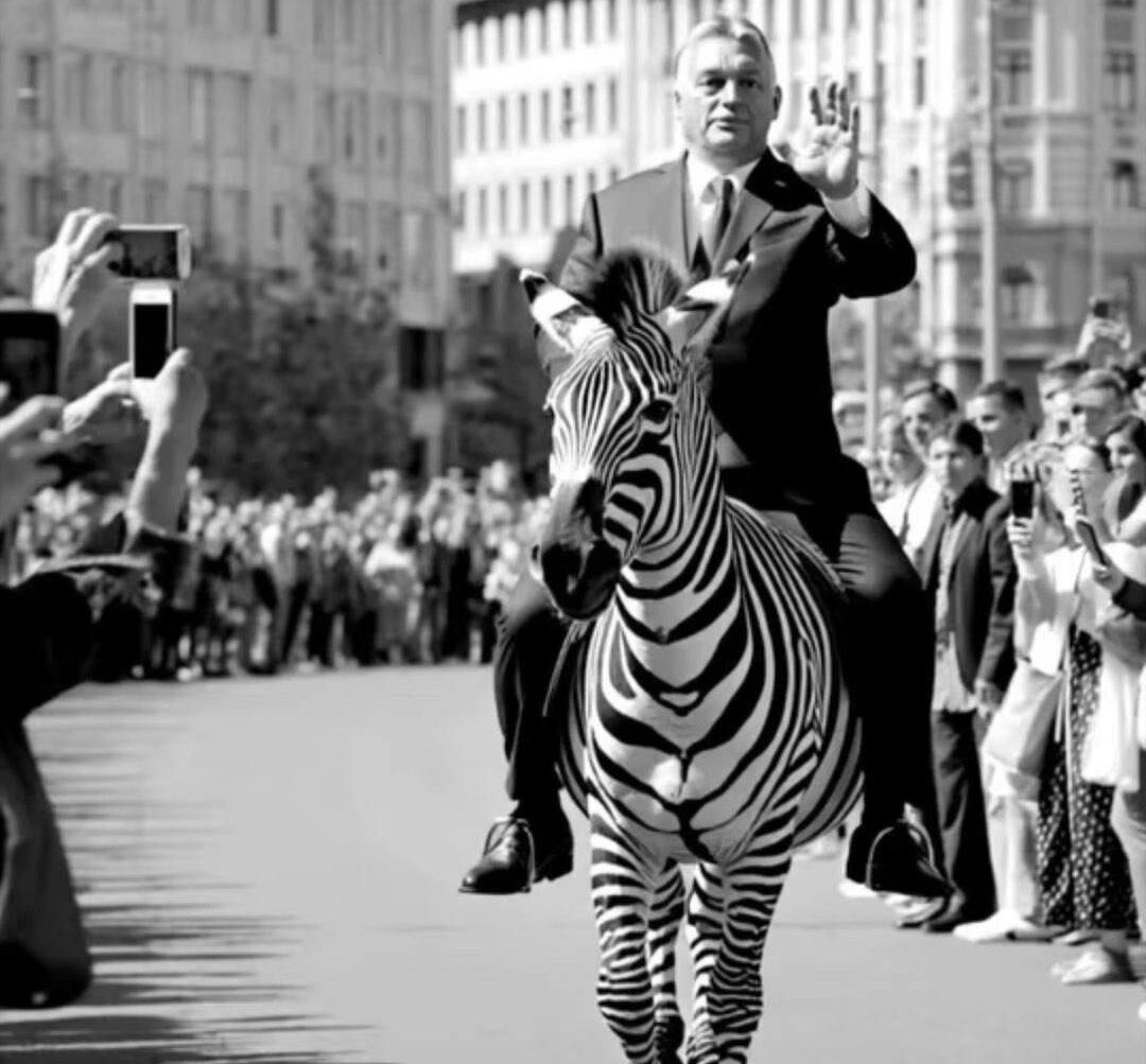 Orbán Viktor egy zebra hátán felszabadítja Budapestet a szivárványos megszállás alól.