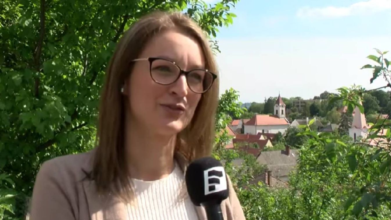 Elvtárs uram, bálkirálynő érdekel? – Feltételes történet a Tisza új alelnökéről