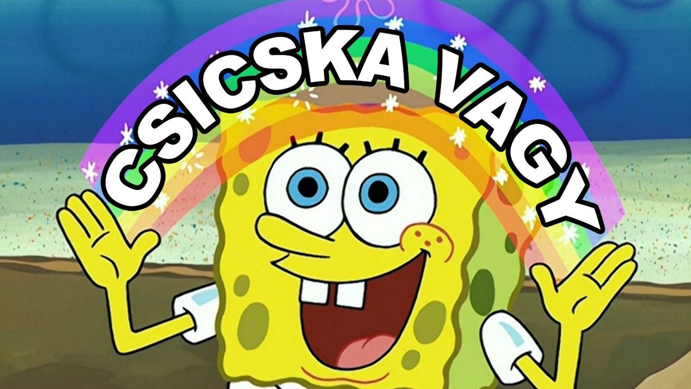 Csicskapropagandista pillanatok a függetlenobjektív Szakmától