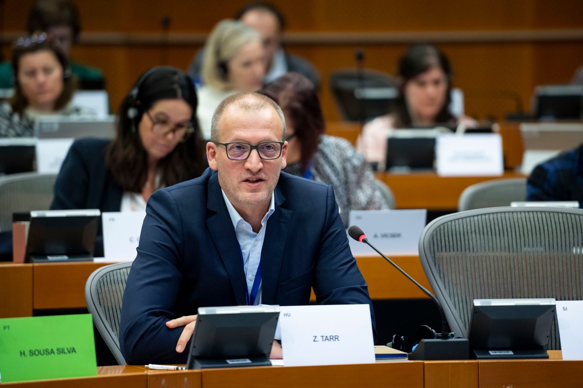 A bohóc Magyar Péter egyik udvari bolondja, Tarr Zoltán, aki szereti kikotyogni az undorító tiszás terveket.