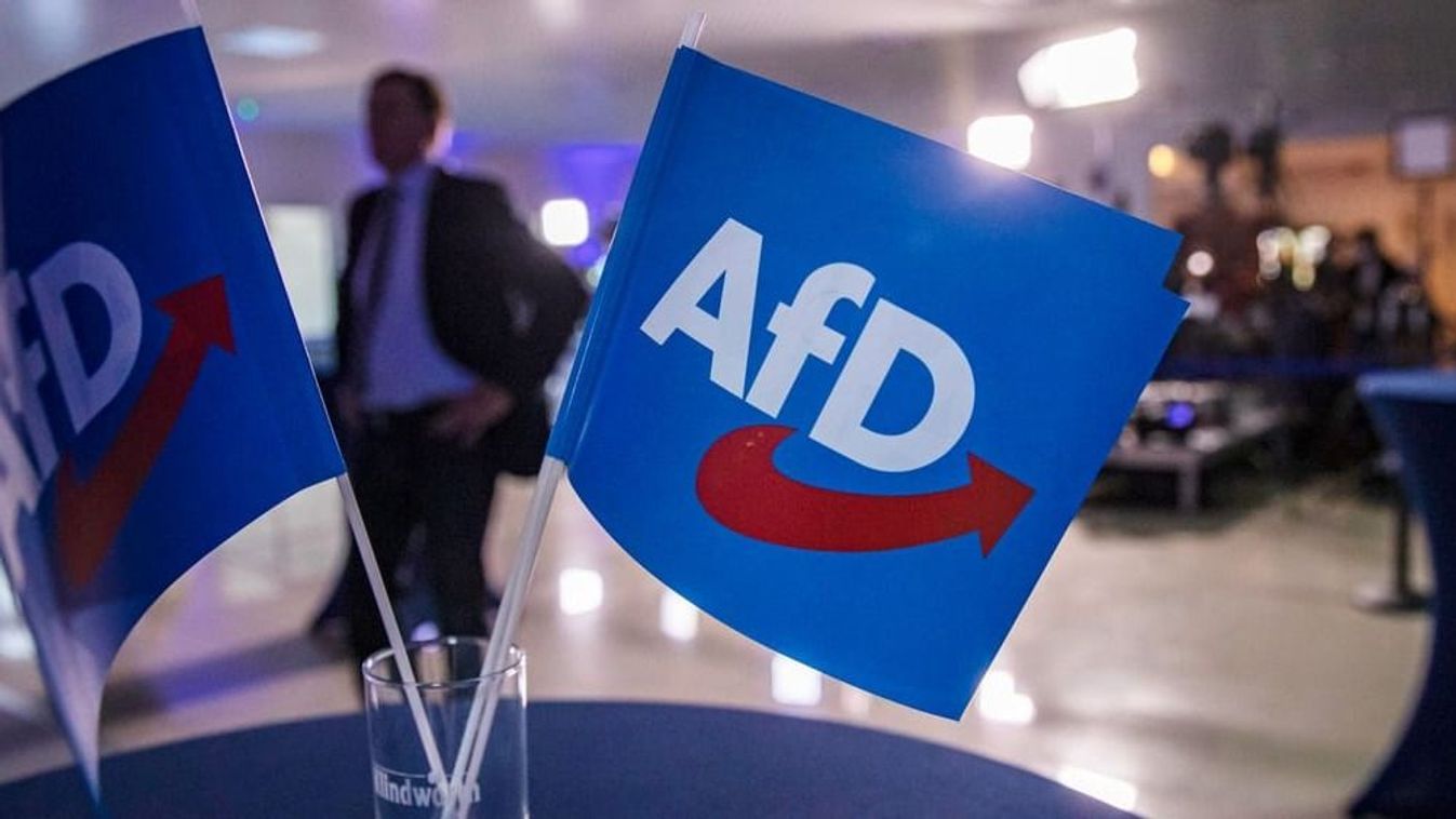 Német demokrácia –Népszerű volt, tehát Kizárta az AfD jelöltjét a választási bizottság
