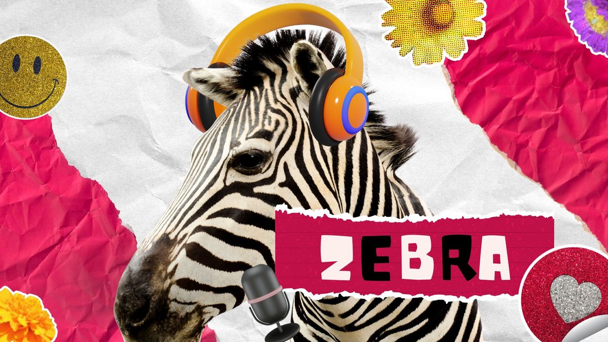 Papír-Orbán, Párizs és indukciós sütők - elindult a Zebra Podcast Velkoviccsal, Dezsével és Futóval