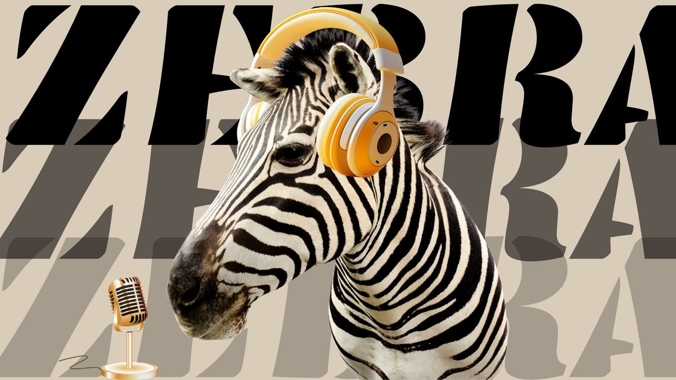 Papír-Orbán, Párizs és indukciós sütők - elindult a Zebra Podcast Velkoviccsal, Dezsével és Futóval