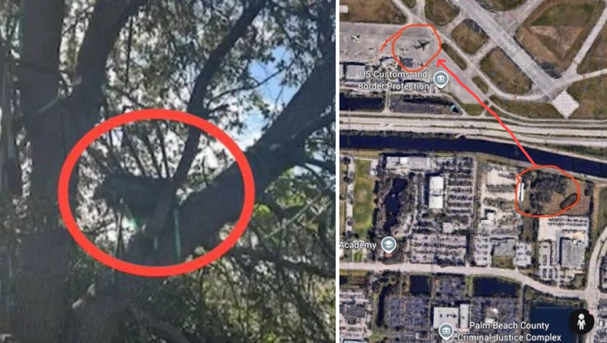 Donald Trump, merényletkísérlet