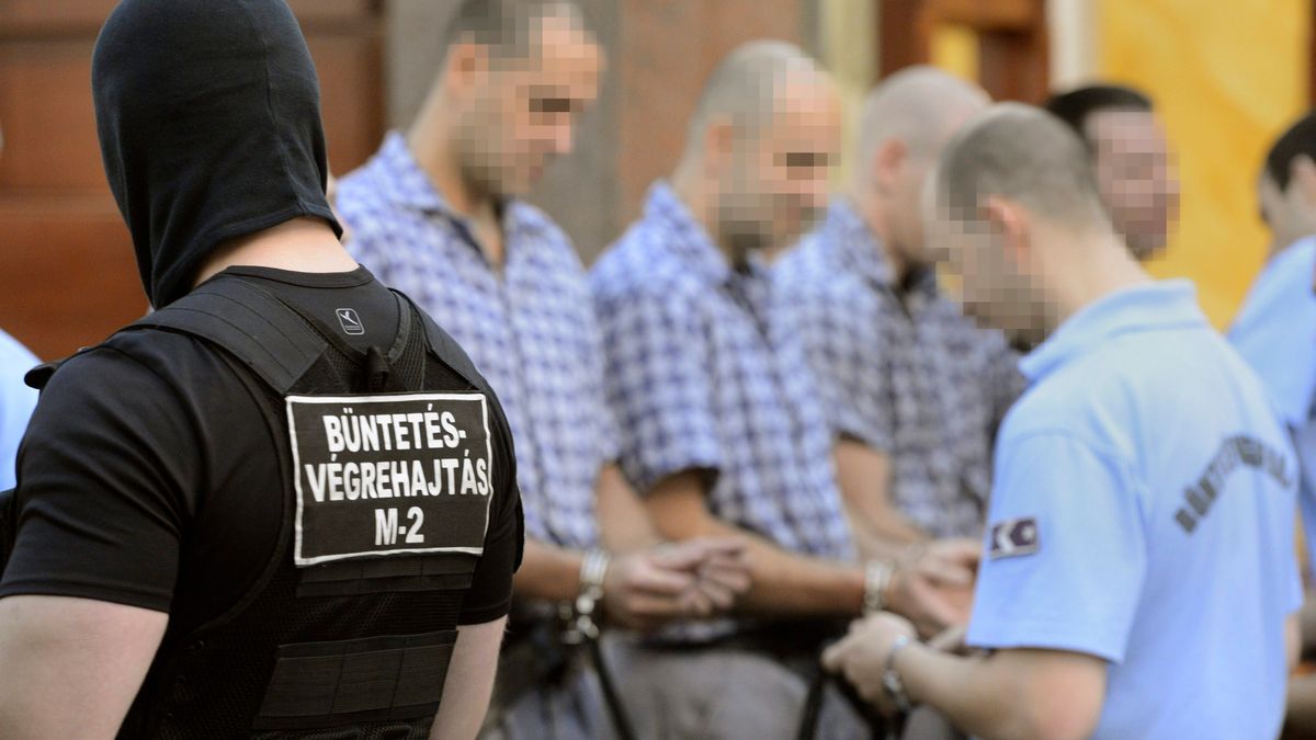 2013 júniusában tartották a diósdi maffiaper felülvizsgálati tárgyalását a Kúrián