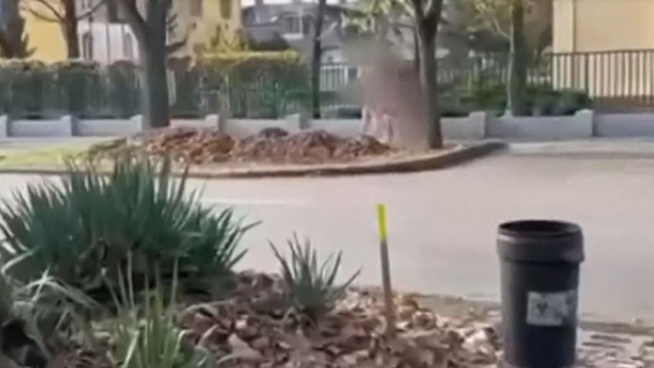 Ördögűzés a debreceni utcán: meztelenül sétált a család, kiskorú veszélyeztetése miatt nyomoznak