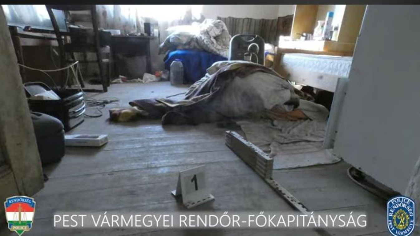 Kalapáccsal, majd fejszével is fejbe vágta áldozatát a gyilkos – Brutális emberölés Tápiószőlősön
