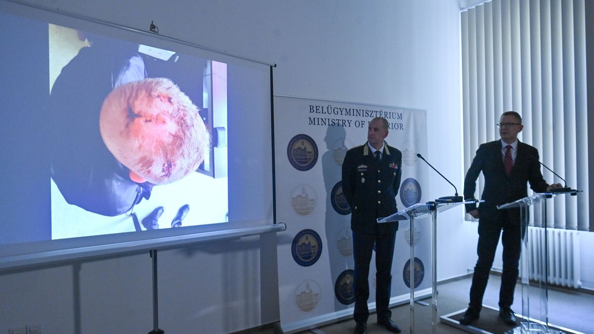 RÉTVÁRI Bence; KUCZIK János Zoltán