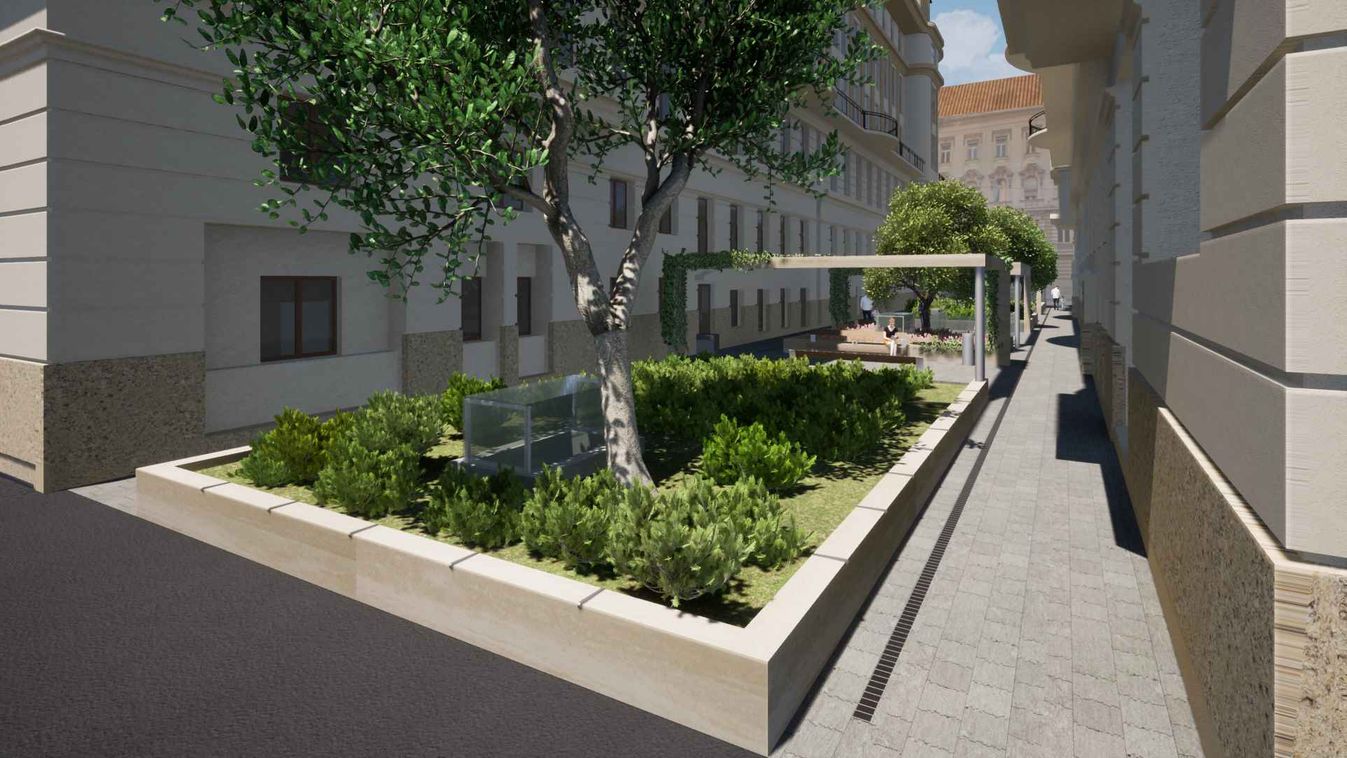 Belváros Önkormányzata másfél emelet mélységű, szobányi életteret biztosít a fáknak