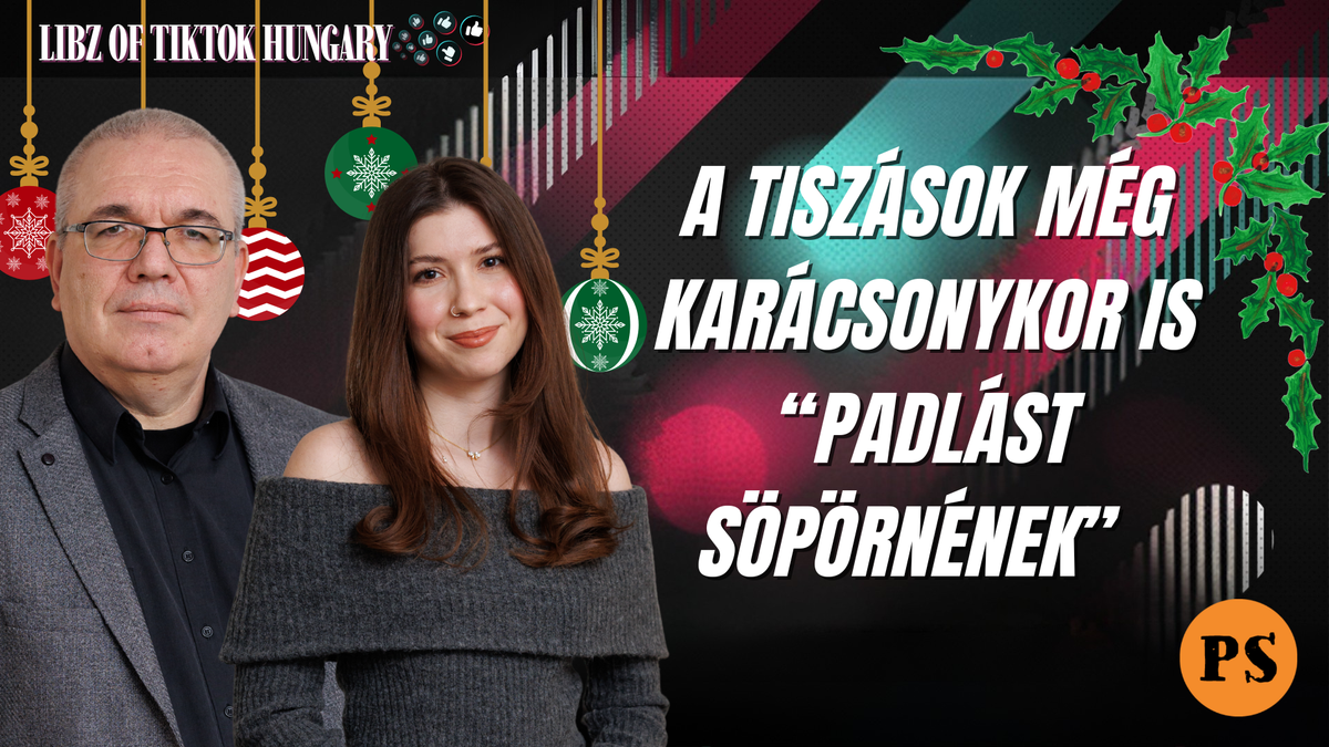 A kommunisták még karácsonykor sem pihennek - Libz of TikTok Hungary