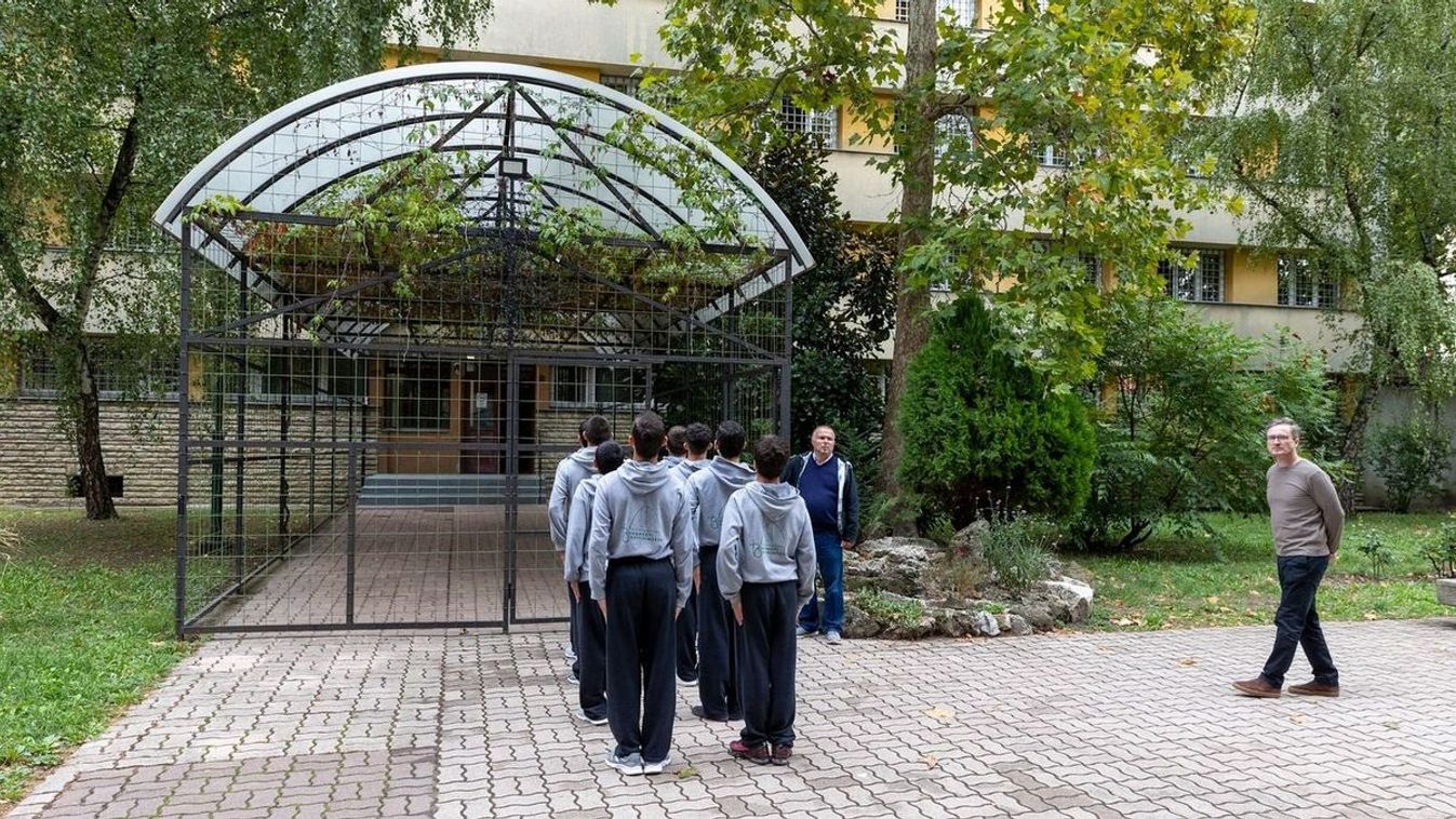 A Szőlő utcai ügy nem egy klasszikus értelemben vett gyermekvédelmi ügy!