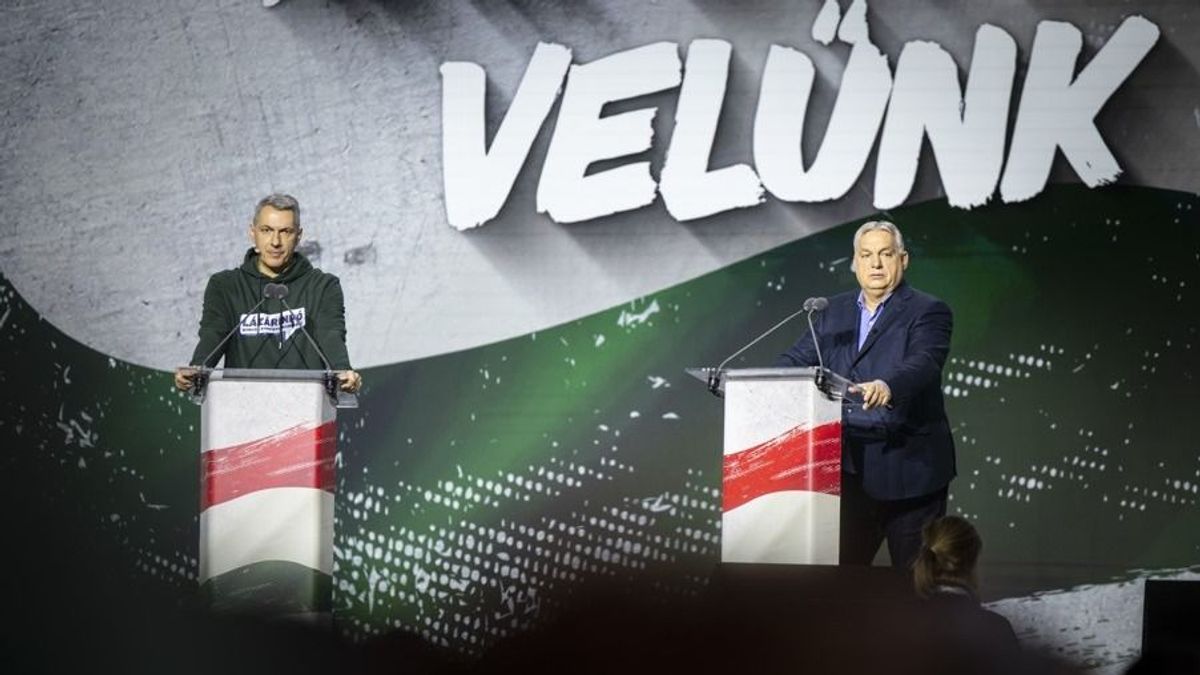 Nyolc portál, nyolc nézőpont